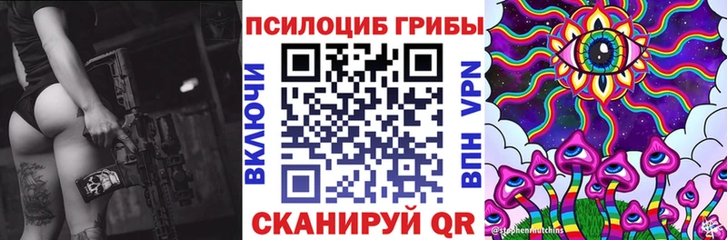 Псилоцибиновые грибы прущие грибы  МЕГА ONION  Заинск  сколько стоит 